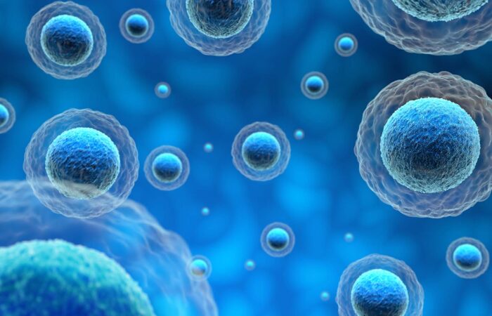regenerative hearing emerging cell based therapies