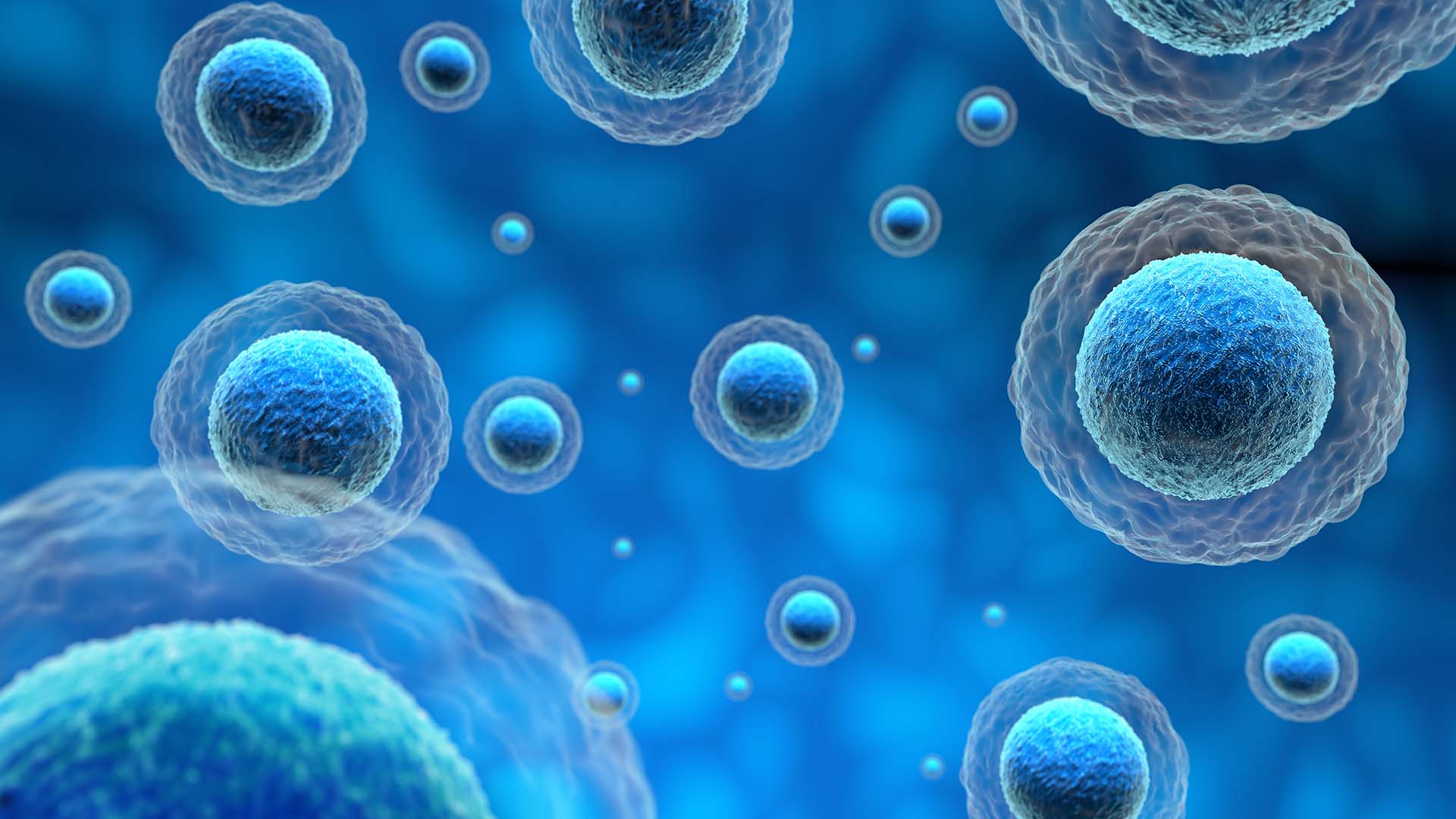 regenerative hearing emerging cell based therapies