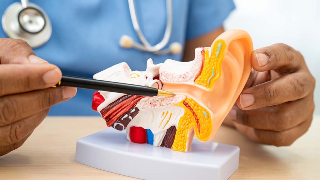 otitis externa vs middle ear infection1