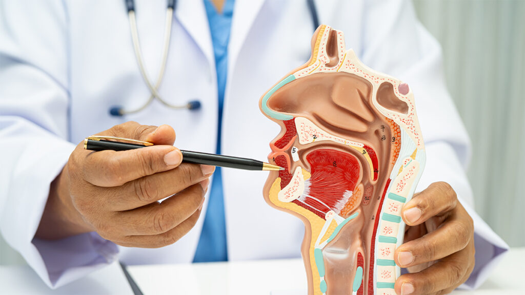 when your voice won&rsquo;t settle practical, evidence led steps1