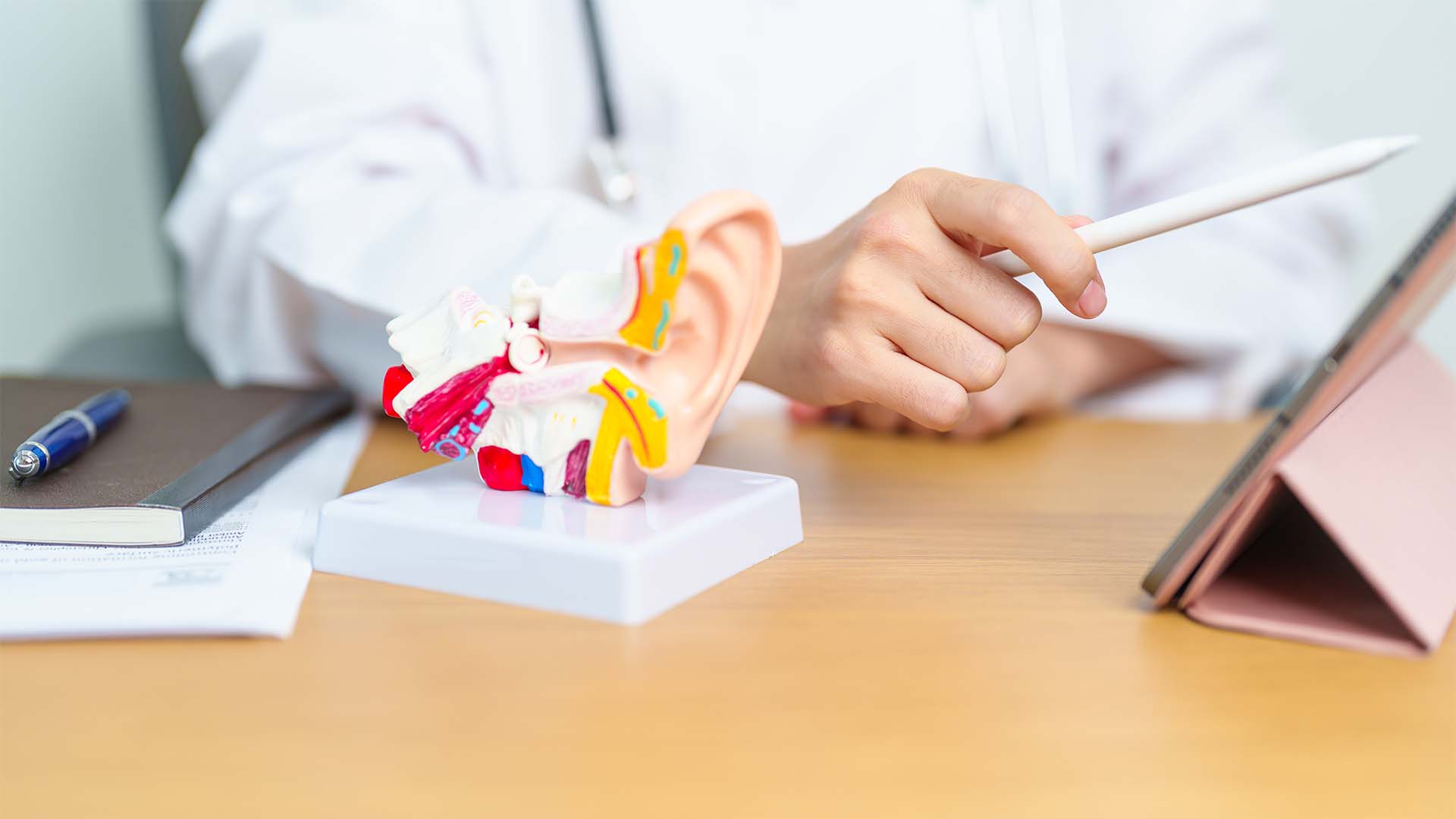before a hearing aid is recommended what comes first?
